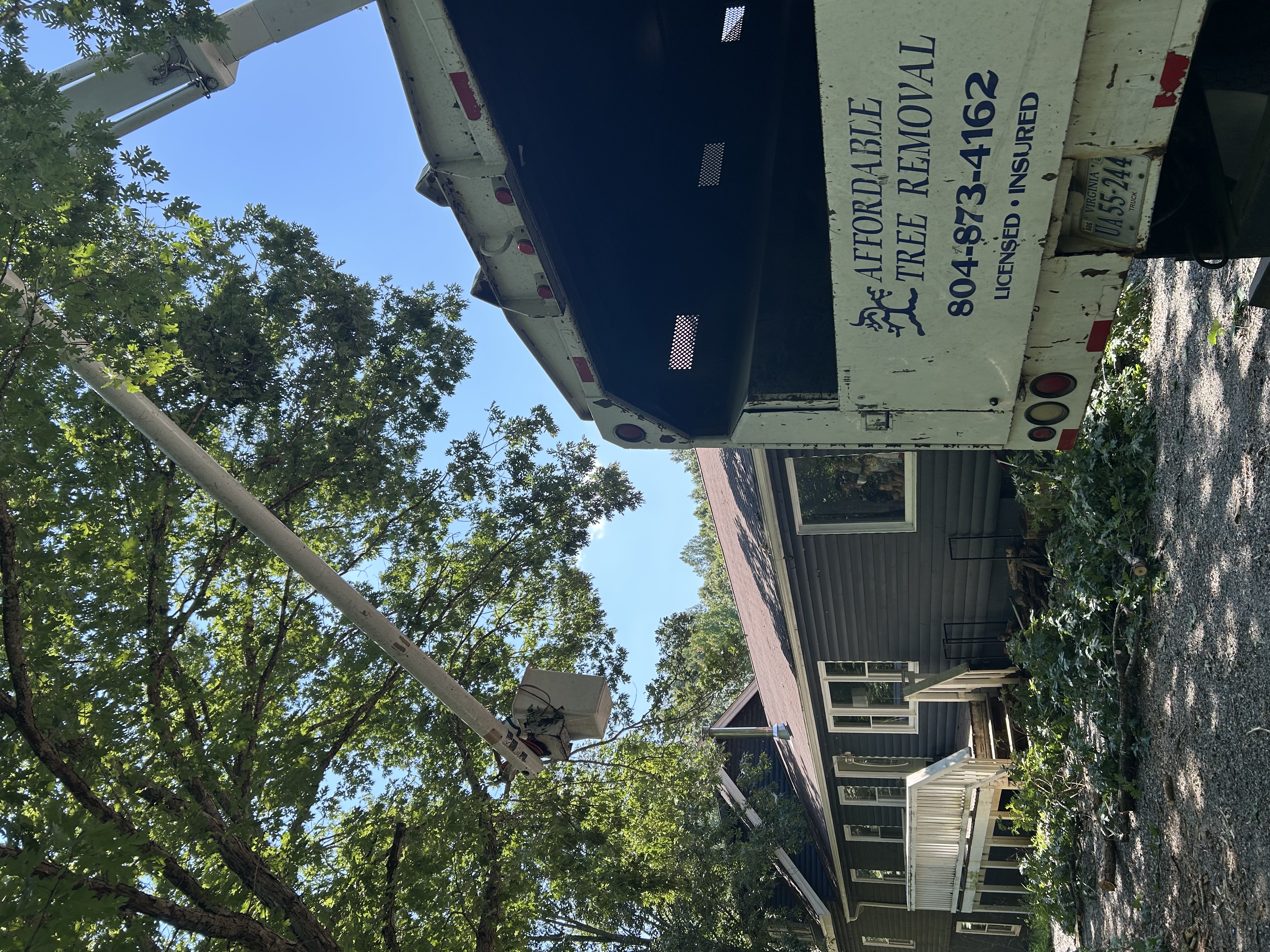 Affordable Tree Removal bucket truck working near a Goochland home